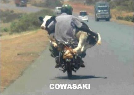 mobileimage.jpg